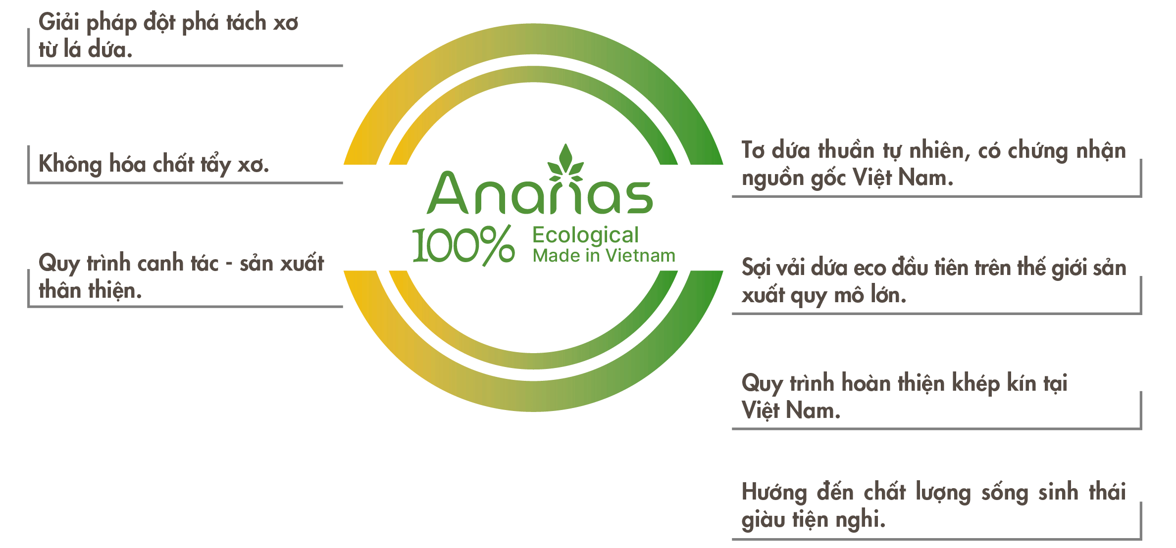 Ananas 100 Eological made in Vietnam vong tron dua
