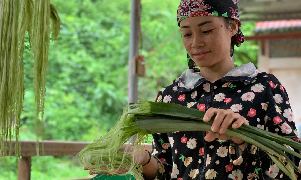 Ngang Điện Biên 2