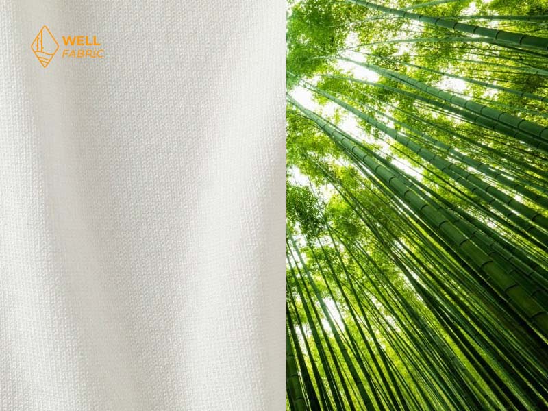 Rayon vs Bamboo Fabric: 3 Key Differences