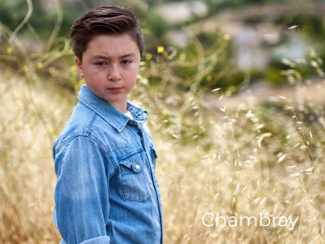 Common Garments Made from Chambray and Denim