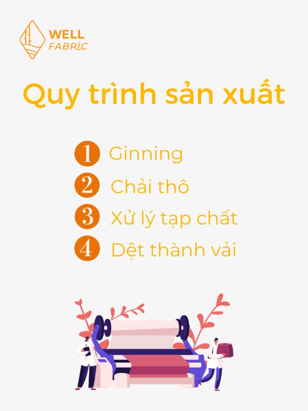 Quy trình sản xuất supima cotton