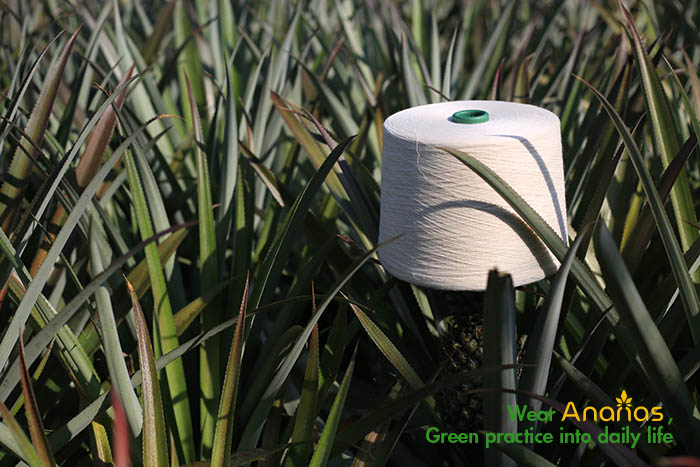 Comparing Ananas yarn (Pineapple) and Linen yarn Through LCA 10 Sợi dứa Ananas sản xuất từ nguồn nguyên liệu lá dứa Việt Nam; được Greenyarn (Bảo Lân Textile) cung cấp số lượng lớn đến các nhà sản xuất sợi, vải 6