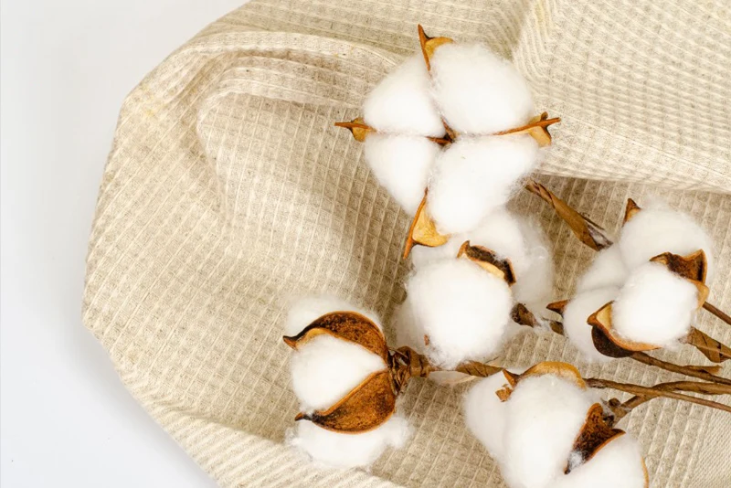Supima-Cotton fabric supply Bao Lan Textile Vietnam