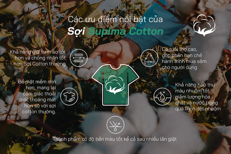 Ưu điểm vải Supima Cotton