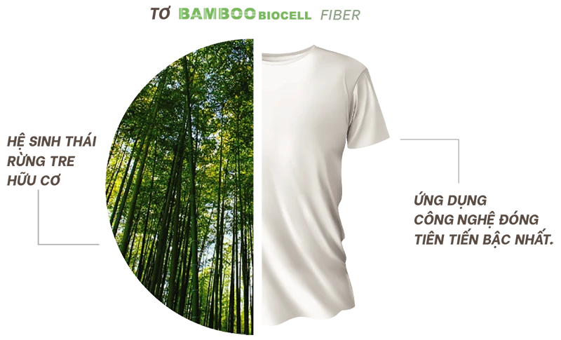 Vải Bamboo Cotton Là Gì? Lợi Ích Của Nó Mang Lại Như Thế Nào? 4 tơ bamboo biocell made in Vietnam