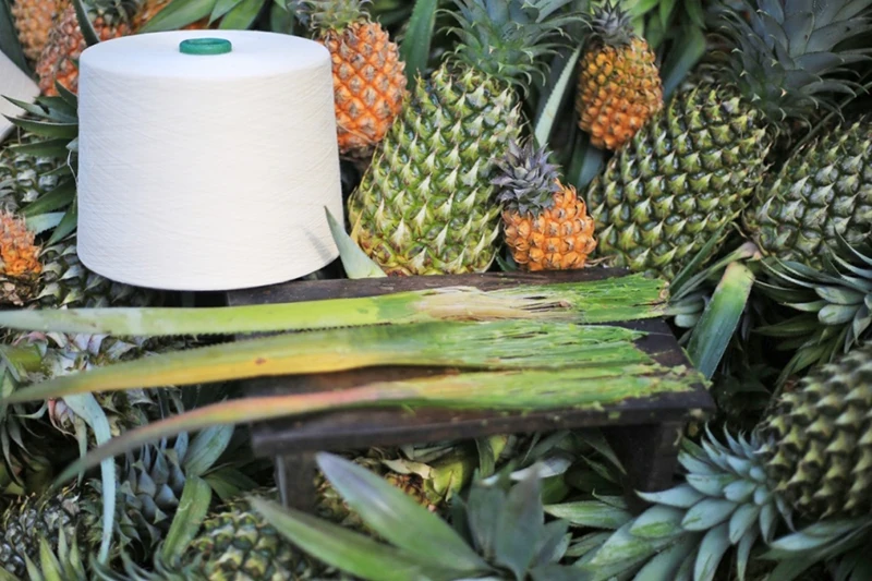 Manners Maketh Man – MALE ICON Dave Quách: Bền Vững Là Một Hướng Đi 3 Ananas ra đời chứng minh Việt Nam chúng ta có thể tự phát triển và tự cung ứng nguồn nguyên liệu sinh thái của riêng mình