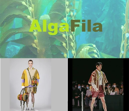 2.5. AlgaFila x Toki Wong