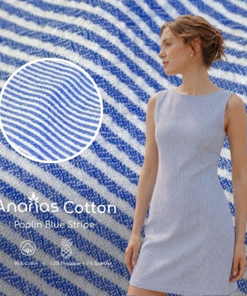 Ananas Cotton Poplin Blue Stripe 86 Pineapple Fiber 1% Spandex
