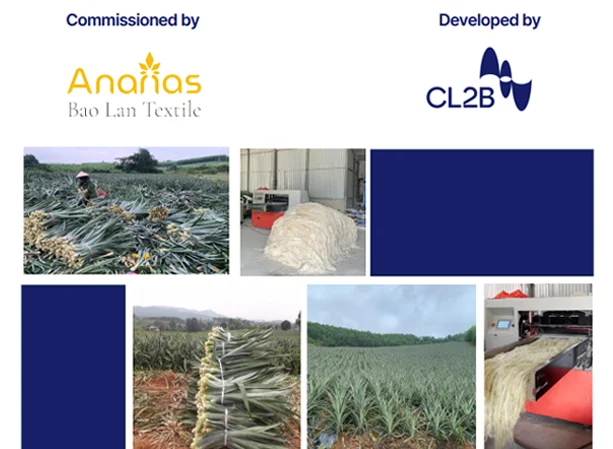 Comparing Ananas yarn (Pineapple) and Linen yarn Through LCA 2 LCA sợi dứa vs sợi Linen