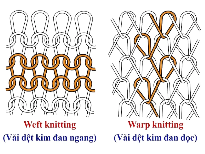 What Is Knitted Fabric? 7 Common Types of Knitted Fabrics 2 Knitted Fabric Structure